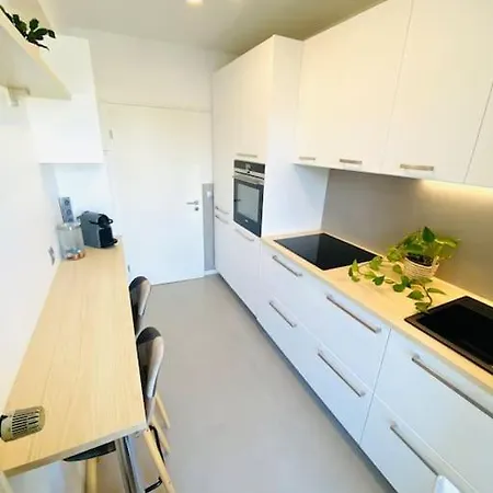 Large 1 Bedroom In Center With Parking - 64 *