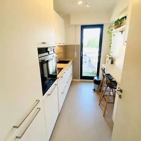 Large 1 Bedroom In Center With Parking - 64 Apartment